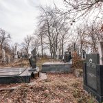 Гробље на потесу Вујовина у Бранешцима (фото Бојан Радојичић)