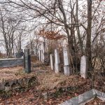 Гробље на потесу Вујовина у Бранешцима (фото Бојан Радојичић)