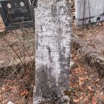 Споменик Милоју Вукићевићу на гробљу на потесу Вујовина у Бранешцима (фото Бојан Радојичић)