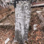 Споменик Милоју Вукићевићу на гробљу на потесу Вујовина у Бранешцима (фото Бојан Радојичић)