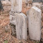 Споменик Миленко Драгутиновић на гробљу на потесу Вујовина у Бранешцима (фото Бојан Радојичић)