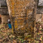 Споменик Лазару Лековићу на Лековића гробљу у Пуљцима, Акмачићи (фото Бојан Радојичић)