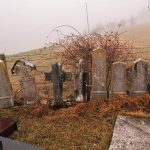 Гробље на Крљама у Виловима, Акмачићи (фото Бојан Радојичић)