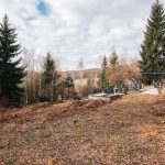 Гробље Боровниче у Штиткову, Божетићи (фото Бојан Радојичић)