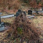 Гробље на Црквинама у Дражевићима (фото Бојан Радојичић)