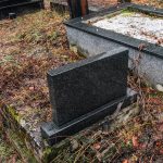 Споменик Влајку Милошевићу на гробљу на Црквинама у Дражевићима (фото Бојан Радојичић)