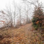 Гробље на Цуцином брду у Дражевићима (фото Бојан Радојичић)