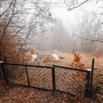 Гробље на Цуцином брду у Дражевићима (фото Бојан Радојичић)