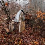 Гробље на Цуцином брду у Дражевићима (фото Бојан Радојичић)