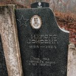 Споменик Михајлу Џоковићу на гробљу на Цуцином брду у Дражевићима (фото Бојан Радојичић)