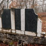 Споменик Михајлу Џоковићу на гробљу на Цуцином брду у Дражевићима (фото Бојан Радојичић)