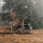 Крајпуташ Дмитру Батаковићу на Равном брду у Ојковици, Јасеново (фото Бојан Радојичић)