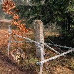 Крајпуташ Дмитру Батаковићу на Равном брду у Ојковици, Јасеново (фото Бојан Радојичић)