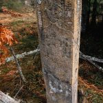 Крајпуташ Дмитру Батаковићу на Равном брду у Ојковици, Јасеново (фото Бојан Радојичић)