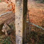 Крајпуташ Дмитру Батаковићу на Равном брду у Ојковици, Јасеново (фото Бојан Радојичић)