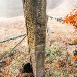 Крајпуташ Дмитру Батаковићу на Равном брду у Ојковици, Јасеново (фото Бојан Радојичић)