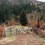 Гробље у Роговићима у Ојковици, Јасеново (фото Бојан Радојичић)