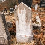 Споменик Миливоју Чоланићу на гробљу у Варкашевини у Ојковици, Јасеново (фото Бојан Радојичић)