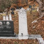 Споменик Радомира Горонића на гробљу у Варкашевини у Ојковици, Јасеново (фото Бојан Радојичић)