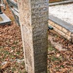Споменик Саву и Милану Гороњићима на гробљу у Варкашевини у Ојковици, Јасеново (фото Бојан Радојичић)