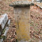 Споменик Саву и Милану Гороњићима на гробљу у Варкашевини у Ојковици, Јасеново (фото Бојан Радојичић)