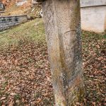 Споменик Милутину Горањићу на гробљу у Варкашевини у Ојковици, Јасеново (фото Бојан Радојичић)