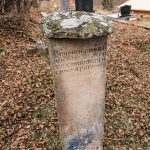 Споменик Милутину Горањићу на гробљу у Варкашевини у Ојковици, Јасеново (фото Бојан Радојичић)