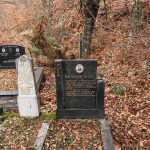 Споменик Петру Батаковићу на гробљу у Варкашевини у Ојковици, Јасеново (фото Бојан Радојичић)
