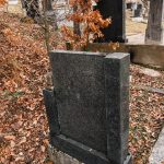 Споменик Петру Батаковићу на гробљу у Варкашевини у Ојковици, Јасеново (фото Бојан Радојичић)