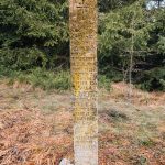 Крајпуташ Спасоју и Властимиру Јоцовићима на Равном брду у Ојковици, Јасеново (фото Бојан Радојичић)