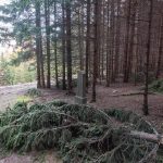 Крајпуташ Радомиру Грбићу у Пети у Кућанима, Јасеново (фото Бојан Радојичић)