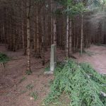 Крајпуташ Радомиру Грбићу у Пети у Кућанима, Јасеново (фото Бојан Радојичић)