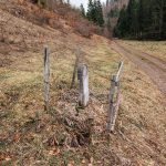 Крајпуташ Видоју Ремовићу у Јагњилима, Кућани, Јасеново (фото Бојан Радојичић)