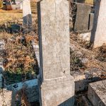 Споменик Раденку Богићевићу на гробљу у Бурађи, Негбина (фото Бојан Радојичић)