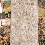 Споменик Раденку Богићевићу на гробљу у Бурађи, Негбина (фото Бојан Радојичић)