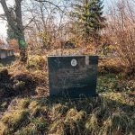 Споменик Радојици Шуњеварићу на гробљу у Бурађи, Негбина (фото Бојан Радојичић)