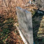 Споменик Радојици Шуњеварићу на гробљу у Бурађи, Негбина (фото Бојан Радојичић)