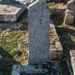 Споменик Павлу Шуњеварићу на гробљу у Бурађи, Негбина (фото Бојан Радојичић)