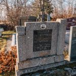 Споменик Василију В. Шуњеварићу на гробљу у Бурађи, Негбина (фото Бојан Радојичић)