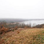 Гробље на Капетановини у Крчагову (фото Бојан Радојичић)