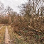 Крајпуташ Драгоју Курћубићу у Кривој Реци (фото Бојан Радојичић)