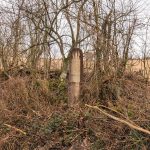 Крајпуташ Драгоју Курћубићу у Кривој Реци (фото Бојан Радојичић)