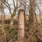 Крајпуташ Драгоју Курћубићу у Кривој Реци (фото Бојан Радојичић)