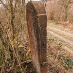 Крајпуташ Драгоју Курћубићу у Кривој Реци (фото Бојан Радојичић)