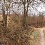 Крајпуташ Драгоју Курћубићу у Кривој Реци (фото Бојан Радојичић)