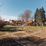 Биста у дворишту Основне школе „Петар Лековић“ у Пожеги (фото Бојан Радојичић)