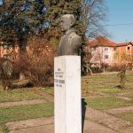 Биста у дворишту Основне школе „Петар Лековић“ у Пожеги (фото Бојан Радојичић)