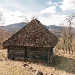 Родна кућа Петра Лековића у Сврачкову (фото Бојан Радојичић)