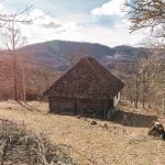 Родна кућа Петра Лековића у Сврачкову (фото Бојан Радојичић)