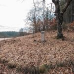 Крајпуташ Драгомиру Калабићу у Мокрој Гори (фото Бојан Радојичић)